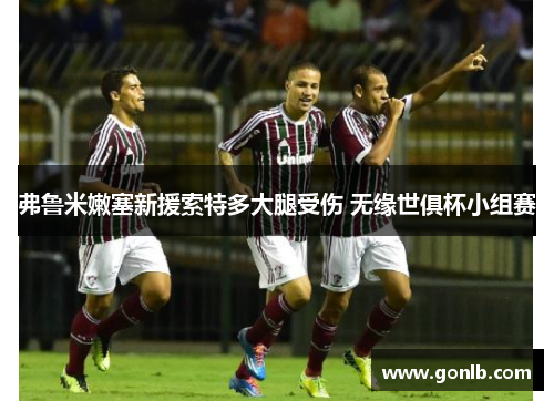 弗鲁米嫩塞新援索特多大腿受伤 无缘世俱杯小组赛 弗鲁米嫩塞新援索特多大腿受伤 无缘世俱杯小组赛